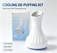 Marteau à glace double tête en acier inoxydable avec prise US pour le visage, le corps et les jambes/bras, pour le rajeunissement de la peau et les soins des yeux