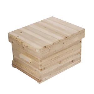 One layer 7pcs bee frames beehive mini beehive