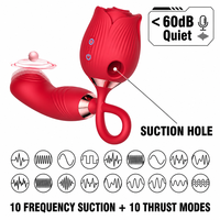 Vibrateur Rose à Double Embout avec Aspiration et Poussée, 10 Fréquences, Stimulateur Clitoridien et Point G, Jouet Adulte Masseur pour Femmes CE RoHS