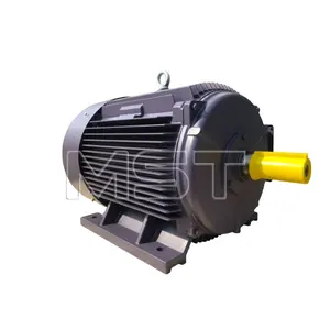 管状単相非同期モーター鉄ハウジング電気非同期モーター630kw高効率ACモーター