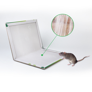 Bẫy Keo Chuột Và Chuột Giá Rẻ Bán Sỉ 34*21Cm 165G Bẫy Gấp Gọn Dùng Cho Văn Phòng Khách Sạn Tại Nhà - Product Image 4