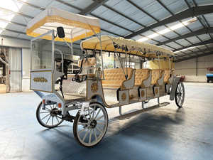 Voiture de tourisme électrique spéciale avec auvent pour le transport touristique et les excursions en calèche - Product Image 2
