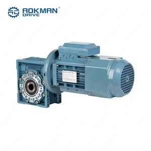 Reductor de velocidad de tornillo sin fin de precisión Aokman para RV, relación 30:1, diseño sin vibraciones, ruido optimizado, montaje por pie o brida para automatización - Product Image 4
