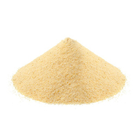 Vente flash : Poudre d'ail lyophilisée 80-100 mesh, ail séché 1 kg