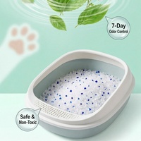 Litière pour chat en cristal testée au pH, légère, facile à nettoyer, résistante aux odeurs, réutilisable, sable transparent pour toilettes pour animaux de compagnie