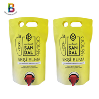 Personnalisé 750ml 1L, 1.5L,2L,3L,5L Double Fond Stand Up Pouch avec Poignée Trou et Robinet Stand Up Pouch pour Boissons
