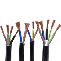 Câble de commande RVV résistant à l'huile, gaine en PVC, résistant aux acides et aux alcalis, cuivre sans oxygène, IP68, 600V, installation facile pour la robotique