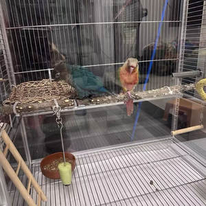 <span class=keywords><strong>Jaula</strong></span> de <span class=keywords><strong>aluminio</strong></span> para loros, aviario de hierro forjado importado, <span class=keywords><strong>jaula</strong></span> para exhibición de aves de cría al aire libre, diseño de <span class=keywords><strong>jaula</strong></span> grande para loros - Product Image 6