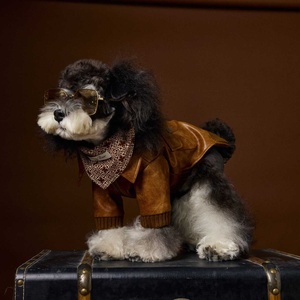 <span class=keywords><strong>Hot</strong></span> Selling Brown Luxus Hunde mäntel Haustier Kleidung Haustier Jacke Winterkleid ung für Hunde - Product Image 6