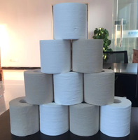 Papier toilette écologique en pâte de bois vierge 100% naturel, sans danger pour les fosses septiques, biodégradable, imprimé, rouleau de papier toilette jetable, 2-4 plis, solide, pas cher