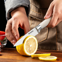 Klantspecifiek logo duurzaam extra scherp ambidextrous schilmesje 3Cr13 lemmet crèmewitte ABS 430 roestvrijstalen fruitmes