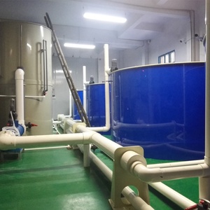 Réservoir et aquariums d'intérieur en plastique, équipement de ferme de poissons, réservoir PP et RAS, recirculation de la chine - Product Image 2