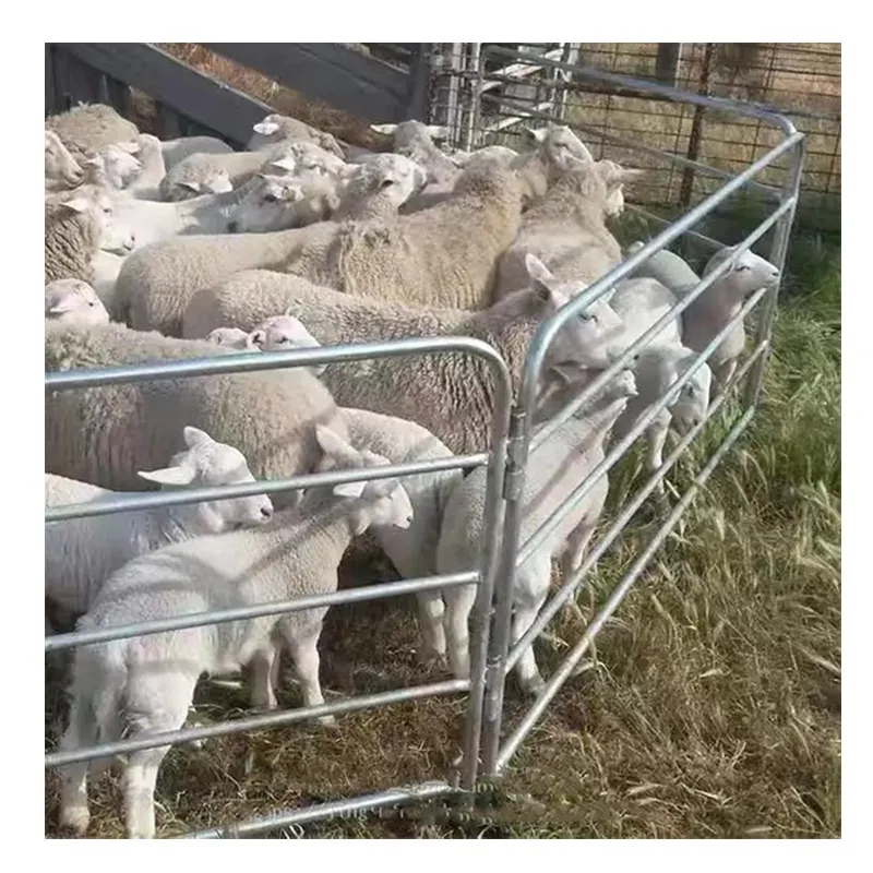 Portable metal welded stock yard panels  sheep   goat pen panels for sale