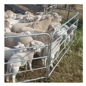 Panneaux de cour de bétail soudés en métal portable, panneaux d'enclos pour moutons et chèvres à vendre