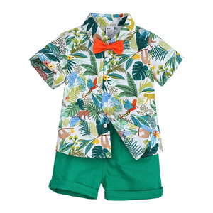 Conjuntos de Roupas Casuais para Crianças para o Verão Estilo Havai 2 Peças com Manga Curta - Product Image 4