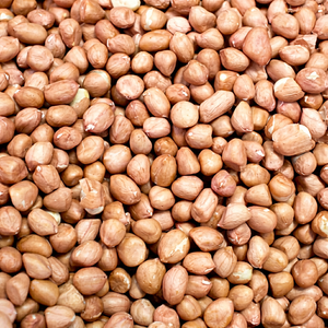 Nueva temporada de cacahuetes indios premium, nueva cosecha de cacahuetes indios, cacahuetes indios frescos, nueva cosecha de cacahuetes indios. - Product Image 1