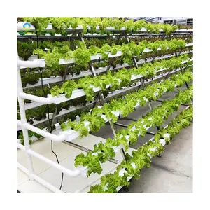 לגדל סדקים עבור hydroponics nft חממת חקלאות ערוץ pvc צינור צמח pvc מדפים עבור הידרופוניק