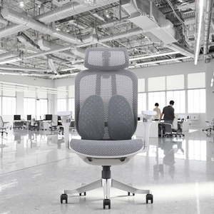 2025 New Arrival Adjustable Armrest Full Mesh Ergonomic <b>Office</b> <b>Chair</b> With Big Lumber <b>Support</b> Z-E2518HG Ergonomic <b>Office</b> <b>Chair</b> Z- - Product Image 5