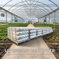 Film plastique pour serre UV 150 200 250 microns, film PE polyéthylène, couverture anti-condensation, résistant au soufre, film agricole pour roses rouges