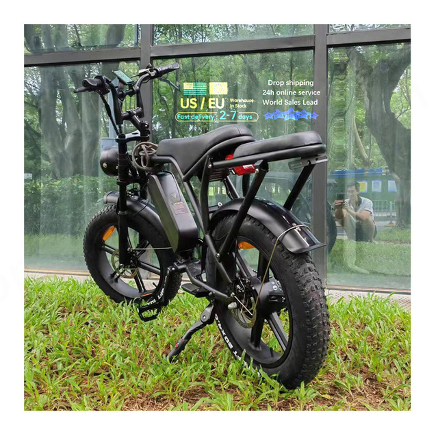 Electric Dirt Bike Adult E Bike Motor Full Suspension Mountain Bike VOMO C80 Two-seater Ebike
