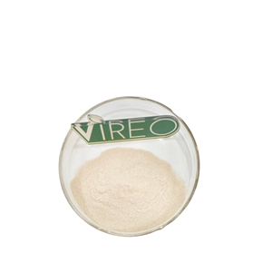 Flavourzyme 20000u/g Enzima Alimentar de Grau Alimentício Flavourzyme - Product Image 4