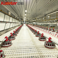 10000 maisons de poulet de volaille système de ligne d'alimentation automatique pour poulets de chair 5000 poulets équipement d'élevage de ferme Machine d'alimentation pour
