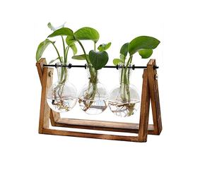 Pflanzenterrarium mit Holzständer, Luftpflanzen-Glasvase mit Metall-Drehhalterung, Retro-Tischdekoration für Hydrokultur - Product Image 2