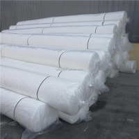 Tissu géotextile non tissé de Spunbond de géotextile de polyester de haute qualité 100GSM pour le pavage de route et la stabilisation du sol