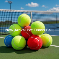 Vente directe d'usine chinoise de balles de padel colorées assorties de Pékin pour l'entraînement des débutants, le jeu avec les animaux et l'utilisation en extérieur