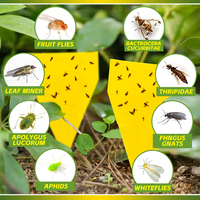 Bescherm binnenplanten tegen schimmelnacht en fruitvlieg. MSDS gecertificeerd OEM fabriek groothandel aangepaste logo gele kleefval.
