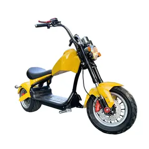 Bjane empresa scooter elétrica, 16 polegadas, 60v, 40ah, duas rodas, motocicleta elétrica, fora da estrada