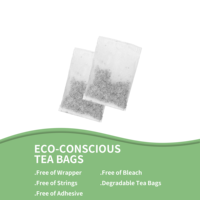 Thé Énergisant OEM pour Hommes avec Maca, Ginseng, Pissenlit, Cordyceps – Formule à base de plantes 5g*20 Sachets de thé