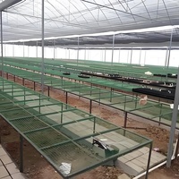 Serre tunnel en film pour élevage avicole, bovins et caprins avec système d'isolation et de refroidissement