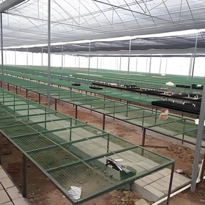 Azienda agricola di pollame casa ad arco Tunnel serra pellicola verde casa tenda con raffreddamento sistema di isolamento per il pollo vacca di allevamento di capra - Product Image 3