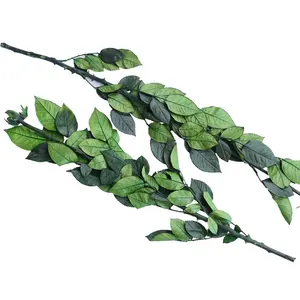 Over 60Cm Long Stem 100% Natural Eternal Rose Long Stem Real Forever Preserved Long Rose Stem for Preserved Rose