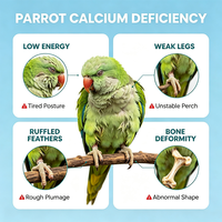 Calcium soluble dans l'eau pour oiseaux, perroquets, gluconate de calcium, lactate avec vitamine B2, zinc, fer, L-thréonine, flacon de 30 ml