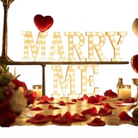Décoration de mariage : Lettres lumineuses LED 3D « Marry Me » et « Love » de 4 pieds, conformes CE RoHS, alimentées par transformateur, grand format géant