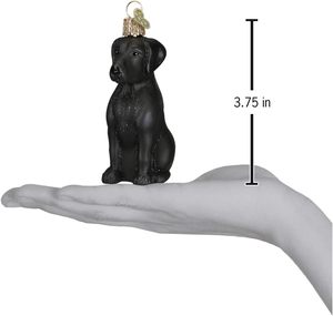 Adorno Navideño de Cristal Soplado con Forma de Perro <span class=keywords><strong>Labrador</strong></span> Negro, Estilo Clásico, 3.75 x 1.5 - Product Image 5