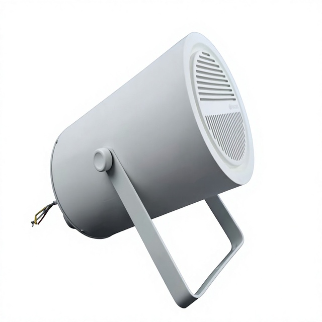 China Manufacturer Engineering Directional Horn Speaker, 30W Outdoor Waterproof Mosque Speaker, Wallmounted Loudspeaker