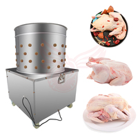 Machine à plumer les volailles Falcon automatique en acier inoxydable, moteur 1,5 kW, haute puissance 220 V/380 V, capacité 6-8 poulets/heure
