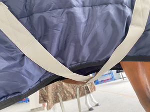 Goedkope blauwe 420d paardendekens, kleine maat, lichtgewicht, indoor ruiteruitrusting, winter, standaard hals, houdt warm, stal, voor paardrijden - Product Image 5