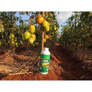 Fertilizante Líquido Mineral Premium EcoVita Organa0 de Primera Calidad, Optimizado para la Absorción de Nutrientes y el Desarrollo Radicular - Product Image 1