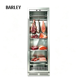 Compressor Stainless Steel Chiller Age Freezer Dried Home Beef UV Machine Dry Age Meat <b>Refrigerator</b> Single-Zone Design Ideal for - Product Image 3