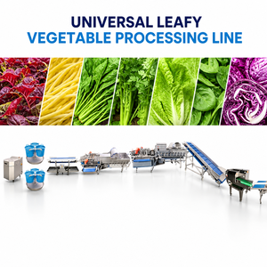 Linea di Produzione Multifunzionale <span class=keywords><strong>per</strong></span> Asciugatura e Risciacquo a Ciclone ad Alta Pressione <span class=keywords><strong>per</strong></span> Erbe Biologiche Fresche di Fattoria e Broccoli - Product Image 1