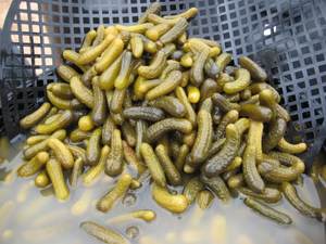 Cornichons de légumes conservés en saumure - Product Image 3