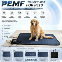 Tapis magnétique durable pour la rééducation de la colonne vertébrale et du cou des chats et des chiens, utilisable en centre, avec thérapie PEMF pour une meilleure récupération.