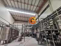 Industriële Kant-En-Klare Mango Appelpulp Productielijn Pompoendruiven Fruit En Groentesap Maken Machine Geconcentreerd