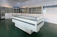 Congélateur îlot commercial écologique à température unique avec refroidissement par air et cloison en verre pour la présentation de viandes et fruits de mer en supermarché