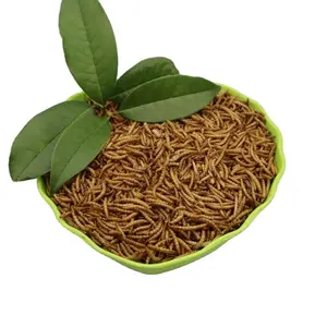 Fish Food Parrot Food Dried Mealworms For Animal Health Products