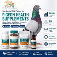 Complément Nutritionnel Personnalisé pour Pigeons OEM ODM, Pilules Vitaminées pour Pigeons de Course Geliwang, Approvisionnement Direct Usine, Service de Marque Privée